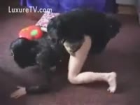 Brunette into zoophilia